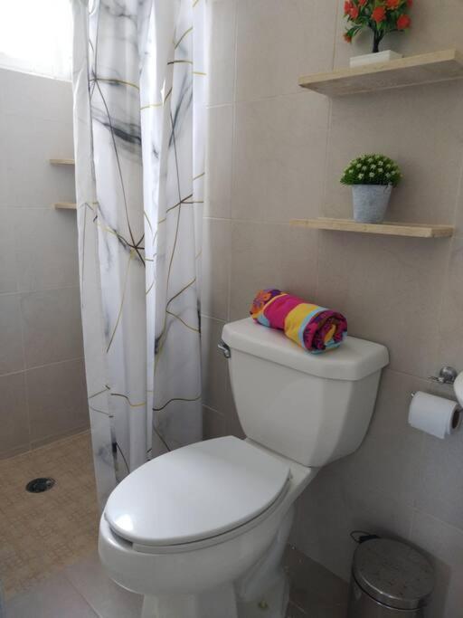 Bellamar Sisal Luaran gambar